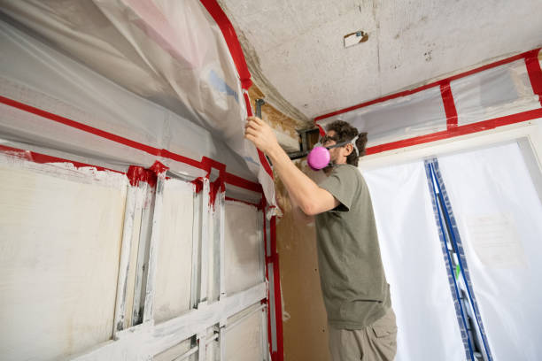 Best Environmental Consulting for Mold Prevention  in USA